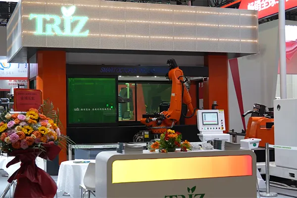 Machine de découpe laser 3D double station à 16 axes