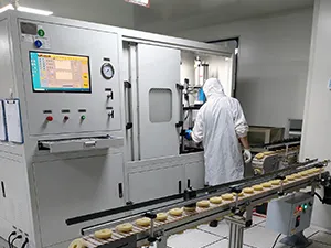 Capacité de production